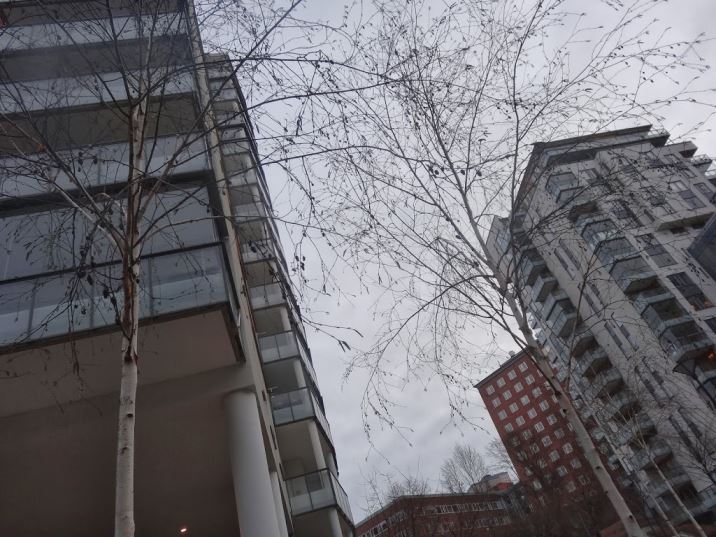 Morgonpromenad-4- - Morgonpromenad i sneakers