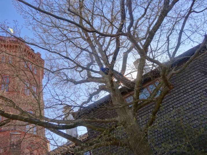 DSC03489 - Kompishelg