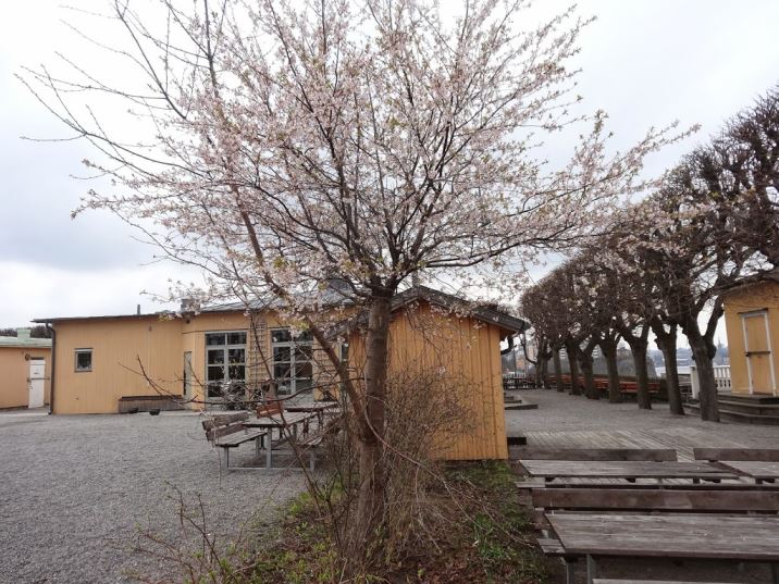 F-C3-A5f-C3-A4ngan-4- - Fåfängan