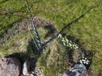 tr-C3-A4dg-C3-A5rdsdags-2--300x225 - Trädgårdsdags