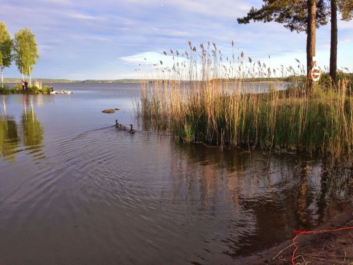 Latardag-12- - Latardag