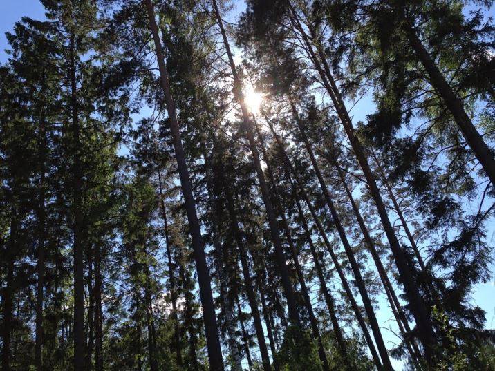 Latardag-4- - Latardag