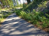 Latardag-5--300x225 - Latardag