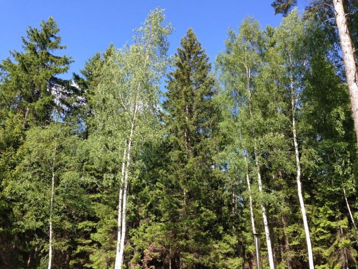 Latardag-8- - Latardag