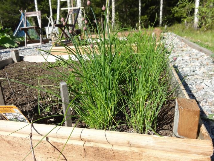 tr-C3-A4dg-C3-A5rden-15- - Solenergi