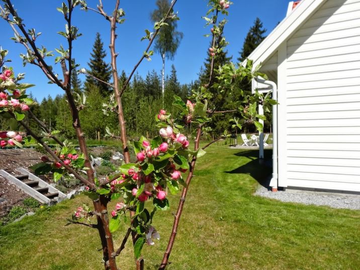 tr-C3-A4dg-C3-A5rden-2- - Solenergi