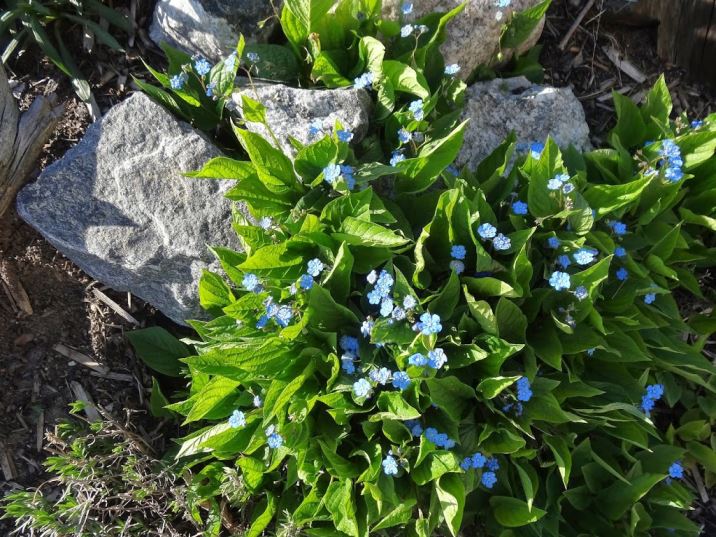 tr-C3-A4dg-C3-A5rden-7- - Solenergi