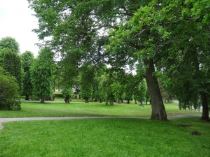 C3-A5ngt-C3-A5g-2--300x225 - Mat och dryck på utflykter