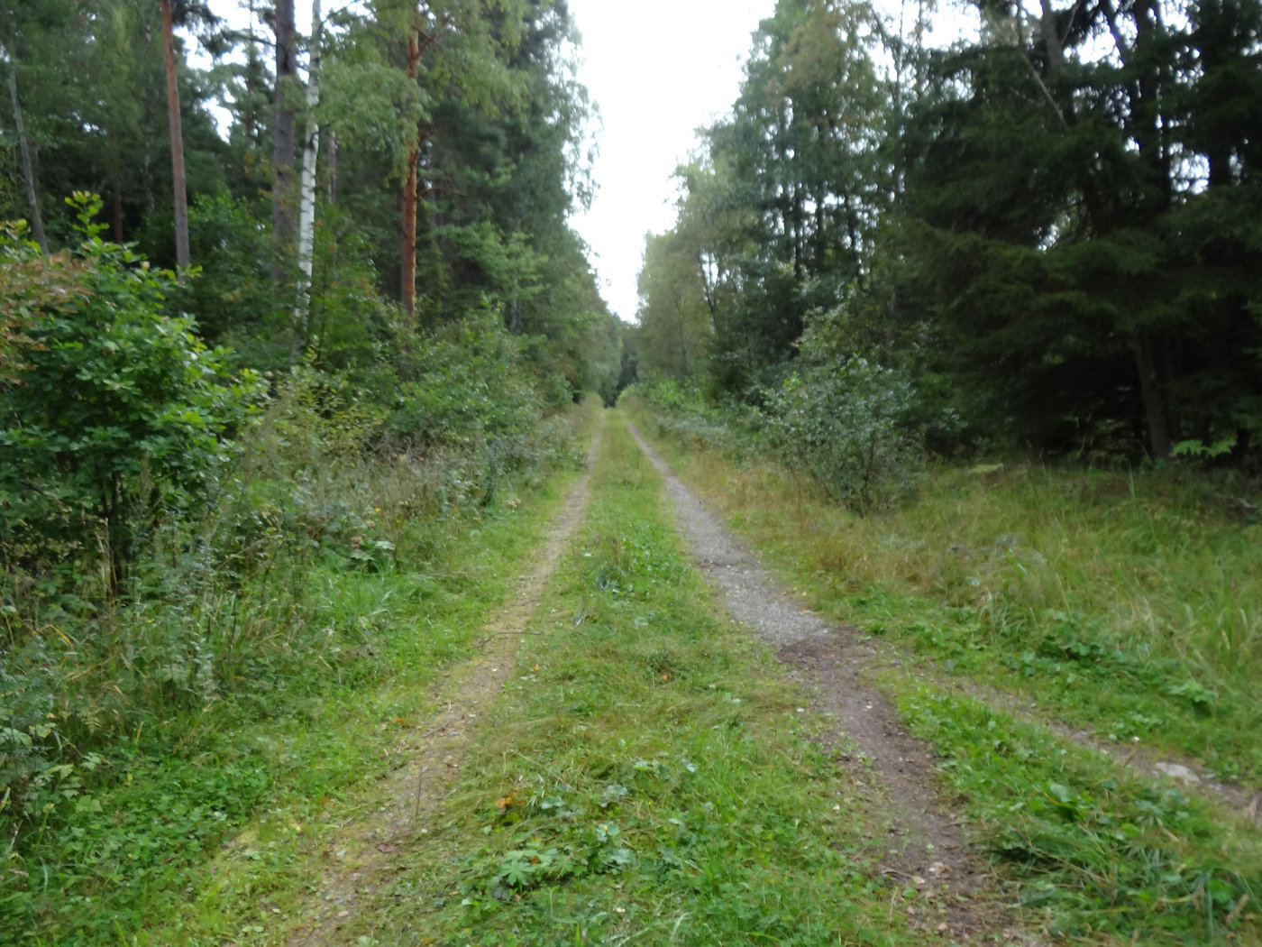 morgonpromenad (1)
