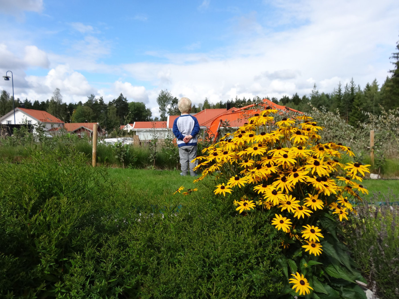 trädgården grävmaskin (1)