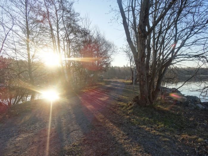 morgonmagi (7)