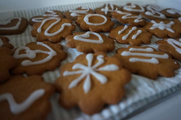 pepparkakor med kristyr (10)