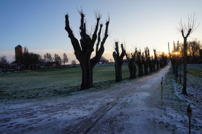 Lucia på Wenngarn (48)