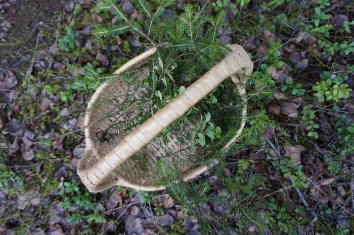 en grön december skogen (1)