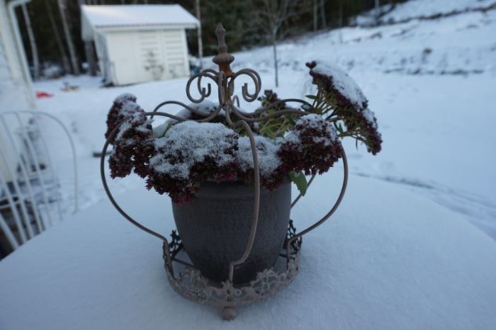 snö ute (1)