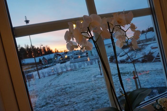 solnedgång vinter (1)