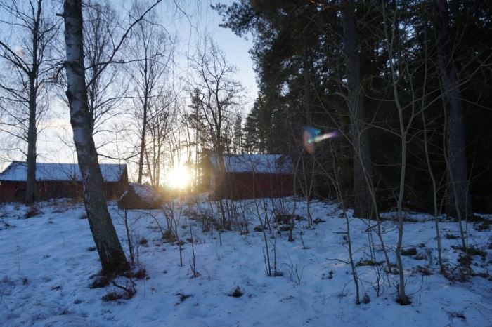 Solhälsningar ute (1)