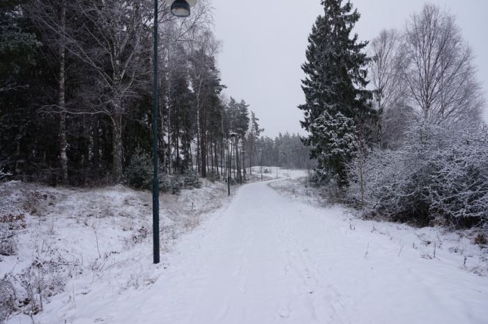 en förmiddag på språng (11)