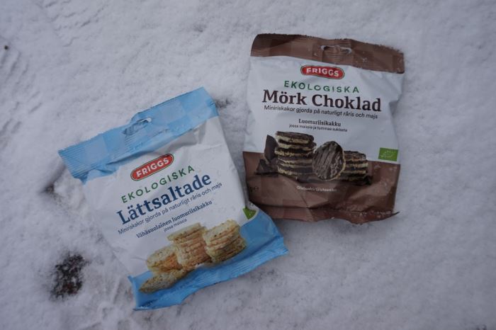 en förmiddag på språng (9)