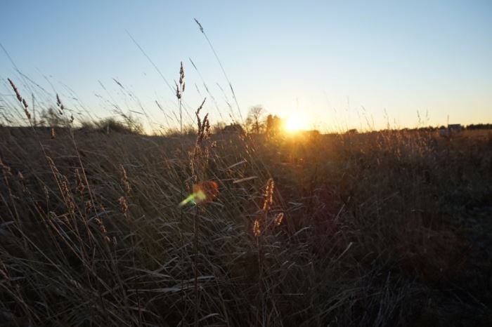 smarta aktiviteter i vardagen (1)