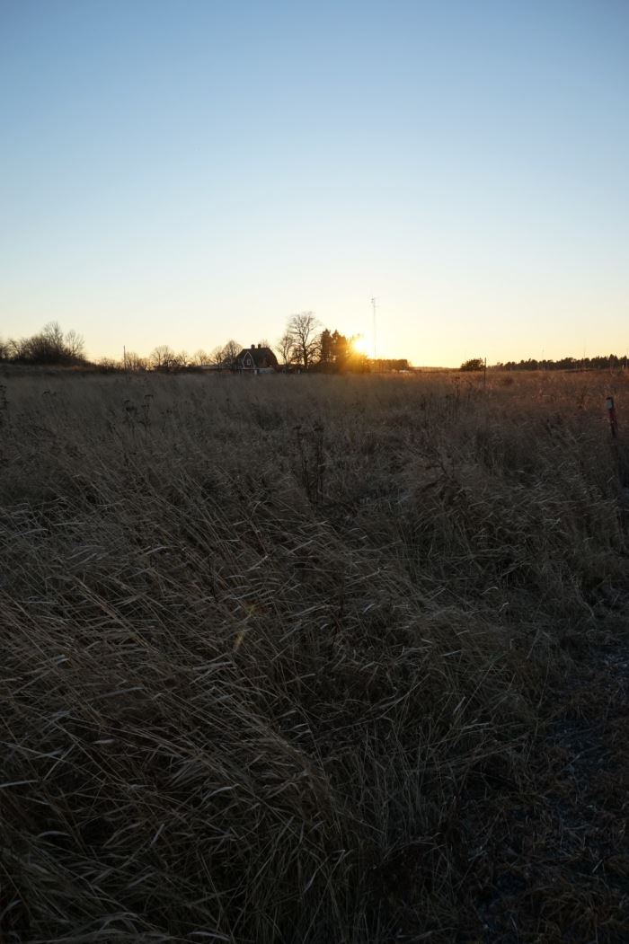 smarta aktiviteter i vardagen (8)