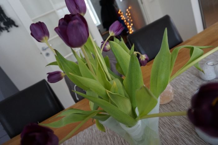 Sjukstuga och jordgubbar (10)