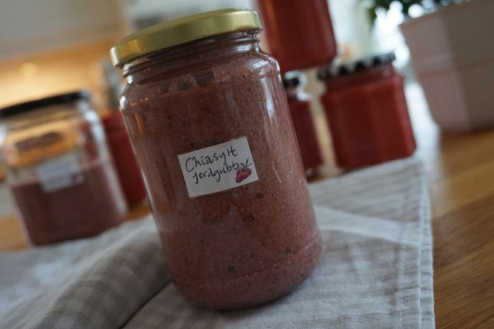 Sjukstuga och jordgubbar (21)