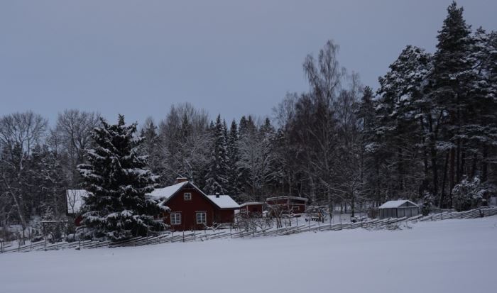 Snö (1