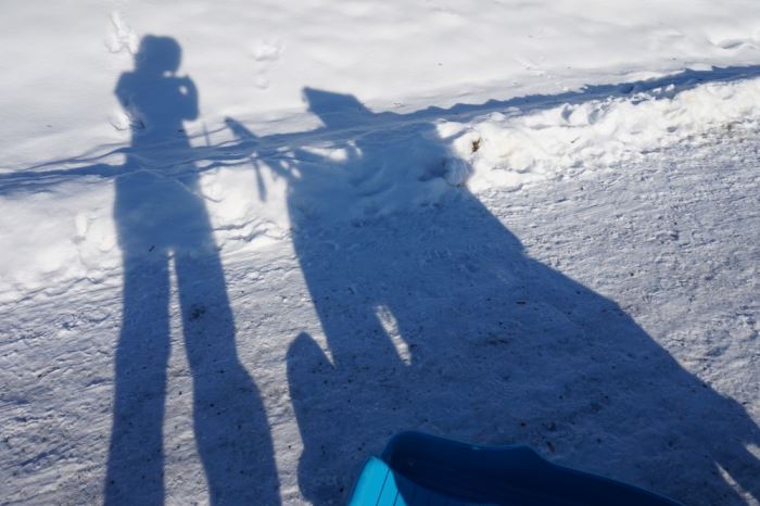 som en dag i fjällen (18)