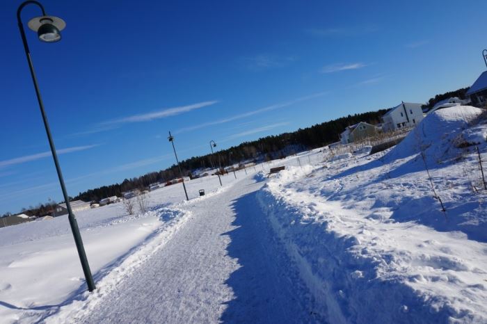 som en dag i fjällen (7)