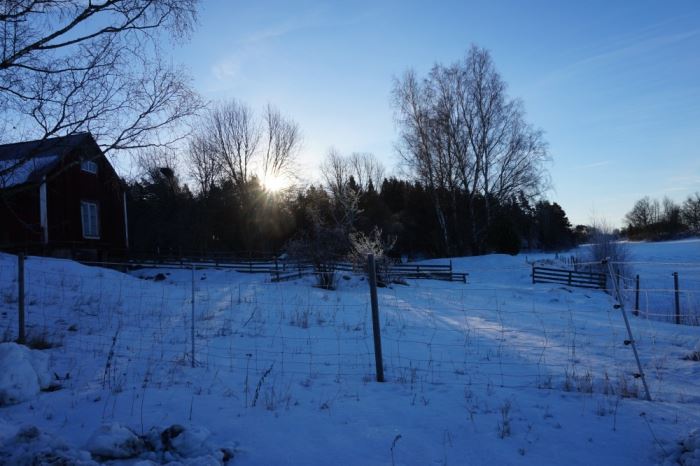 vintervackert (12)