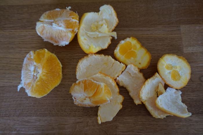 Förkylda familjen (7)