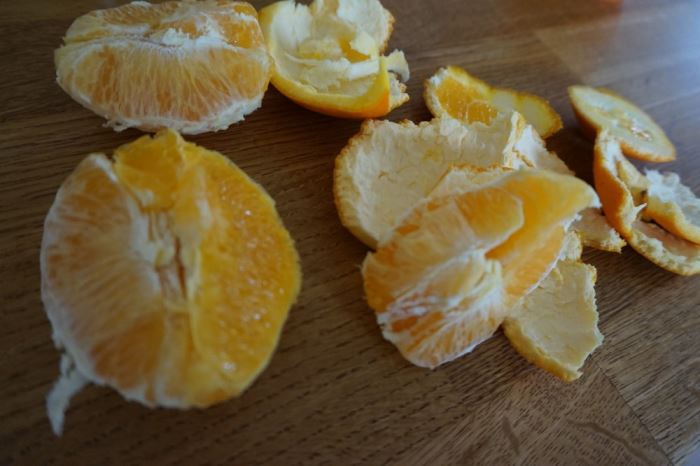 Förkylda familjen (8)