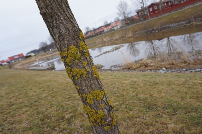 Träningshetsens baksida (1)