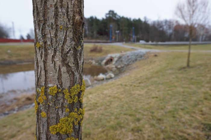 Träningshetsens baksida (5)