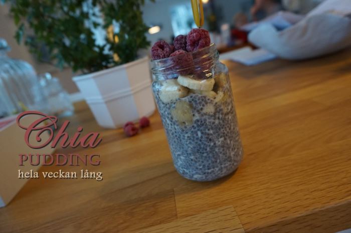 chiapudding (1)