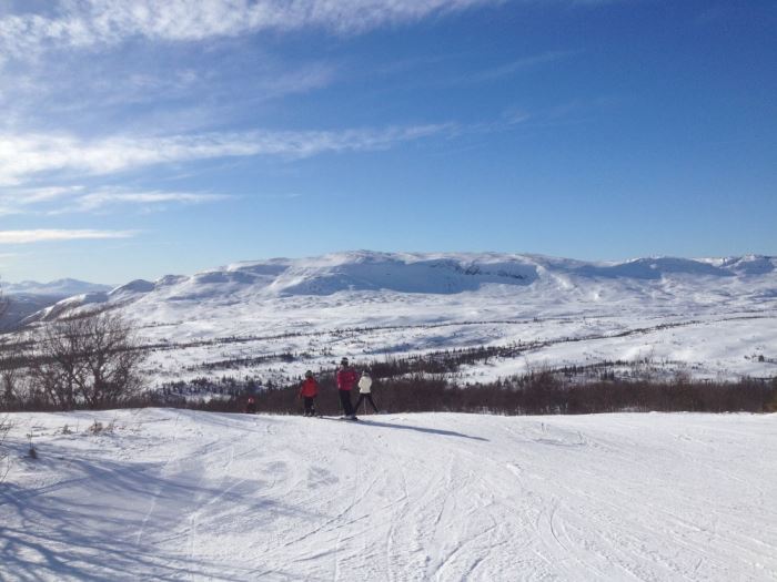 Åre fjälliv (22)