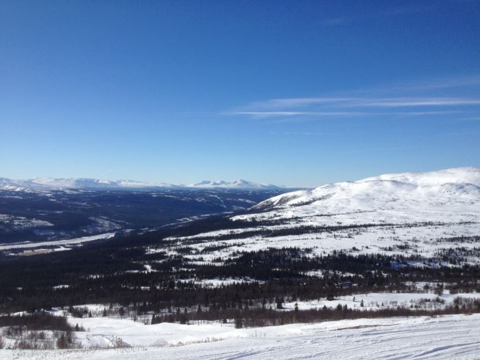 Åre fjälliv (6)