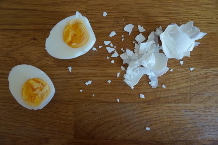 ägg