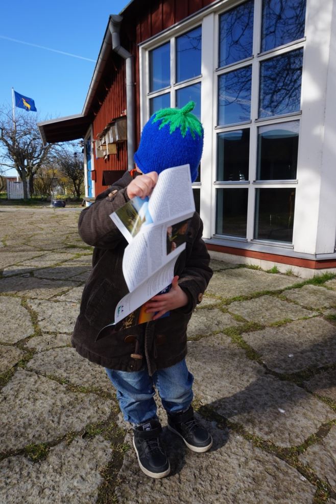 Öland (26)