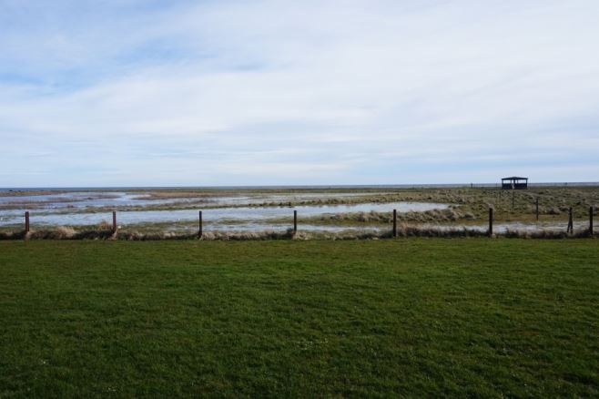 Öland (27)