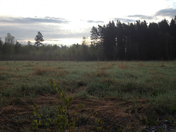 löpning (2)
