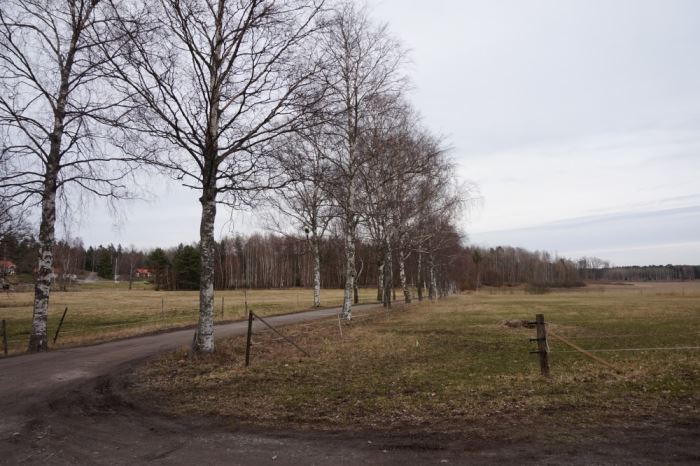 Årets första (10)