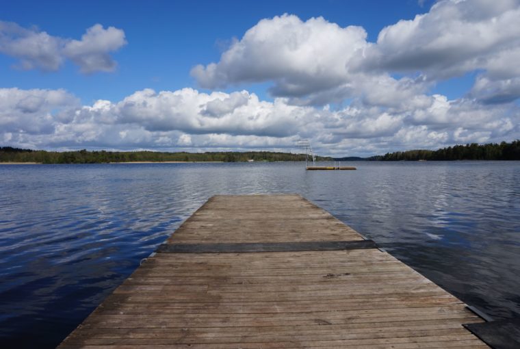 Skogen och sjön promenad (5)