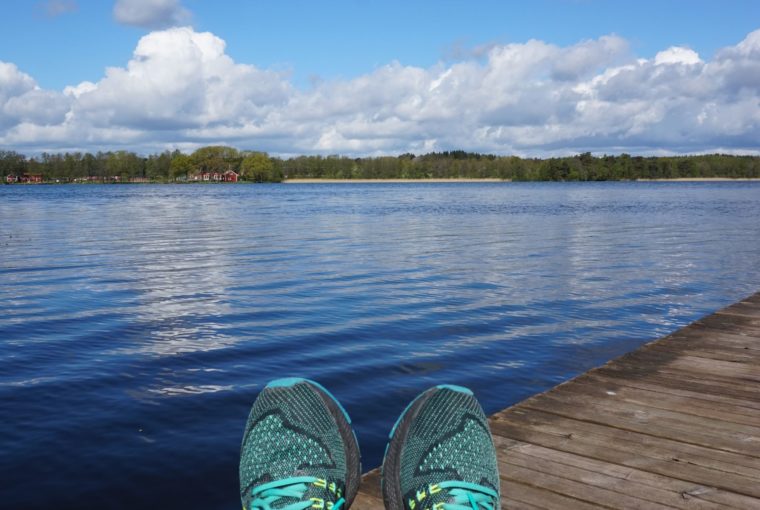 Skogen och sjön promenad (9)