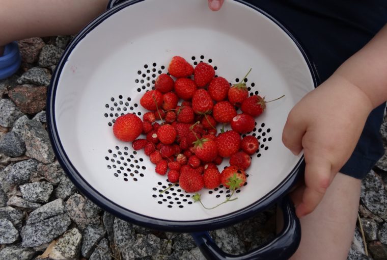 jordgubbar och bär (2)