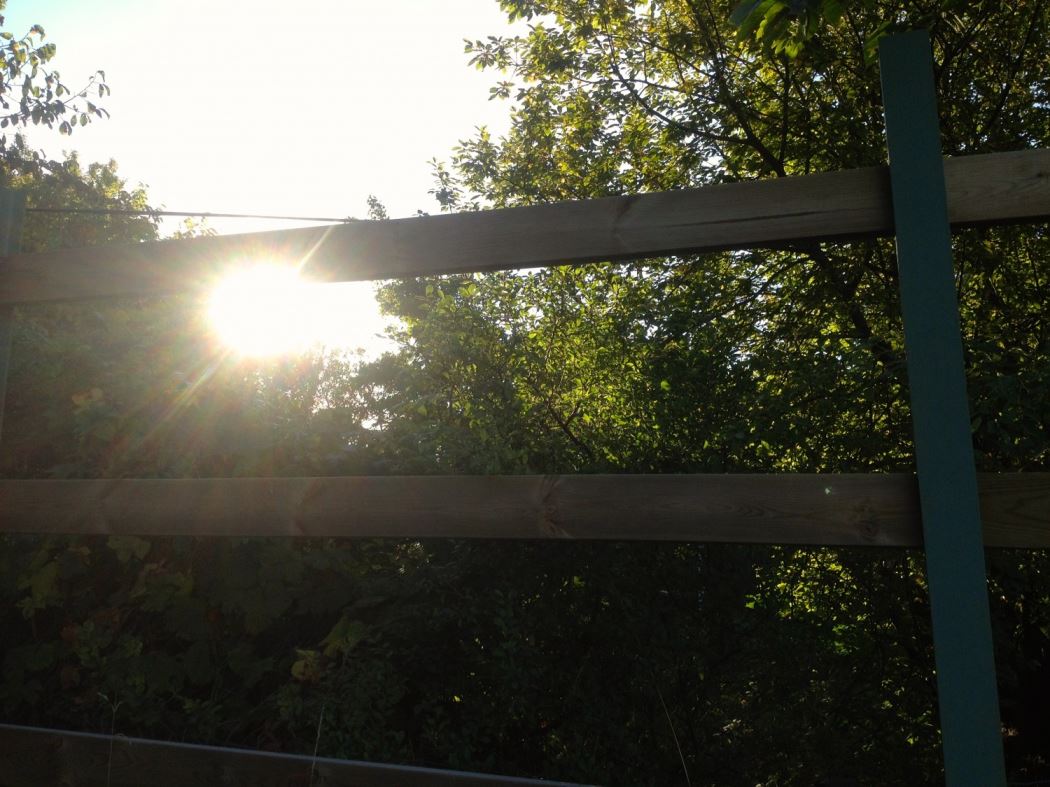 Löpning sol