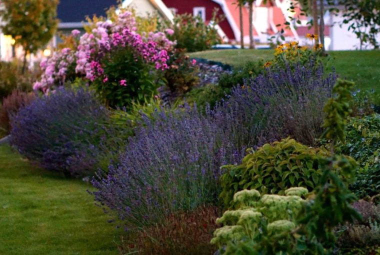 balansen-augustikvall-blommor