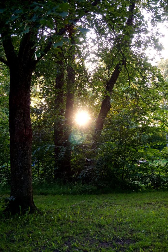 en-gammal-amazon-sol