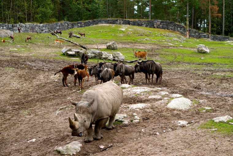 Kolmården 2